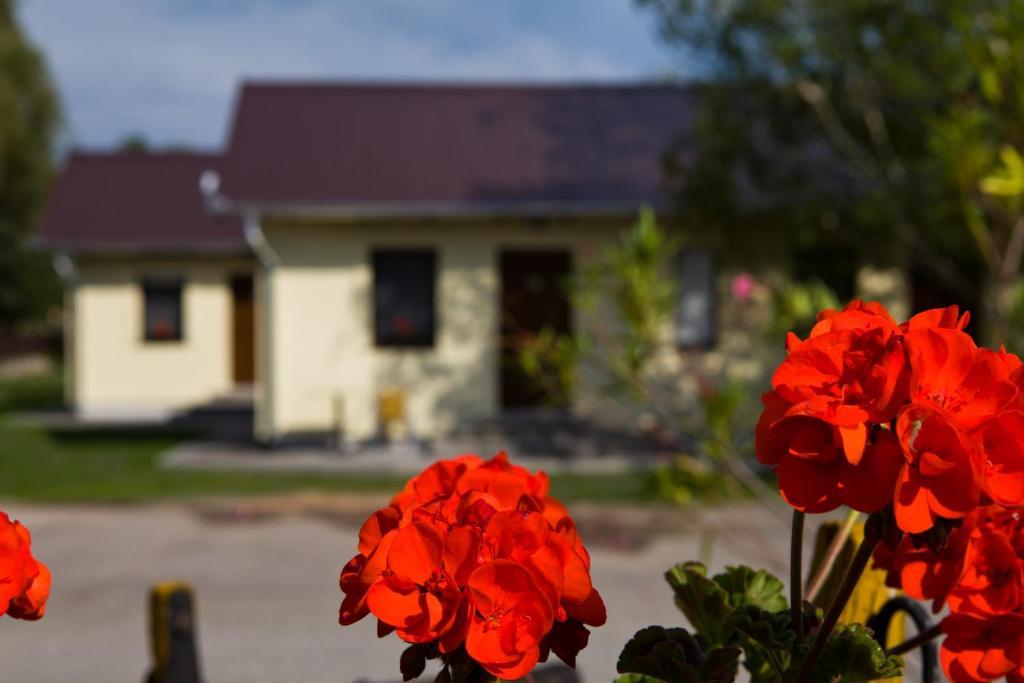 Отель Balaton Eldorado Camping Бадачоньтёрдемиц Экстерьер фото